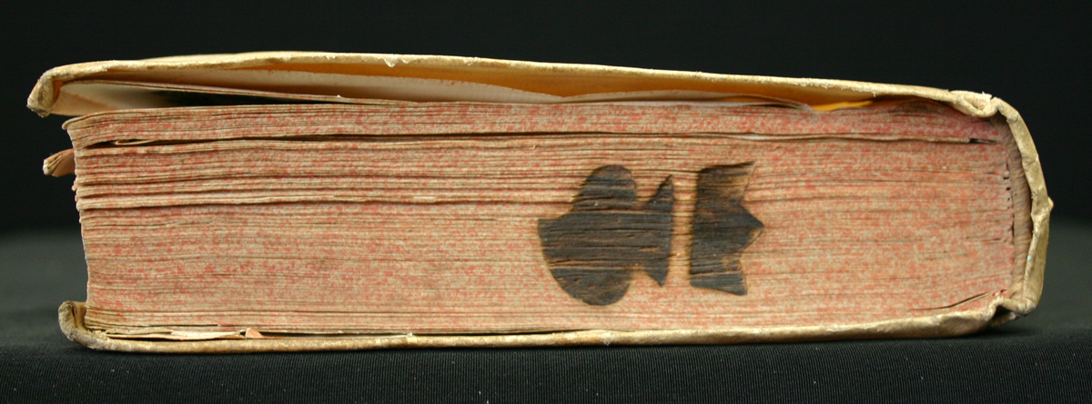 CB 75762 canto.jpg